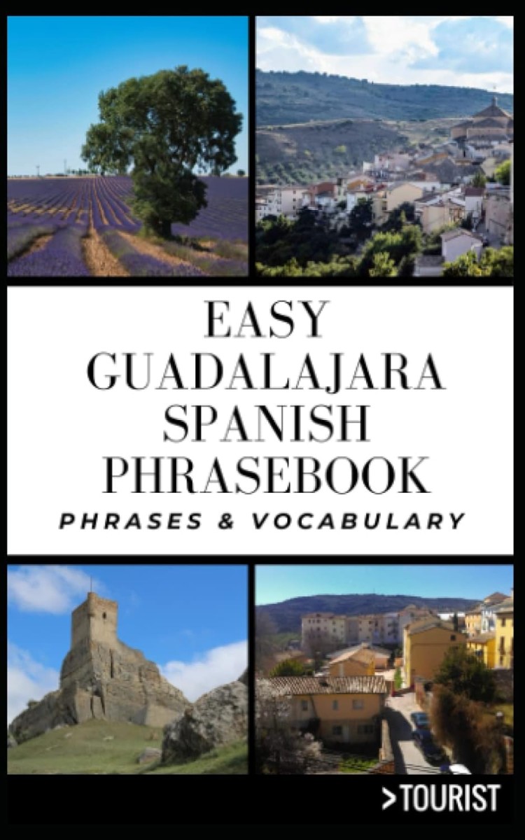 Easy Guadalajara City Spanish Phrasebook 800+ Easy-to-Use Phrases written by a Local (Greater Than a Tourist Phrasebook) Tourist, Greater Than a, Martínez, Maylett: 9798387943256: : Books