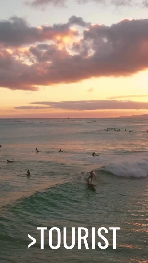 escape the ordinary. 37 mp4 dvd.original